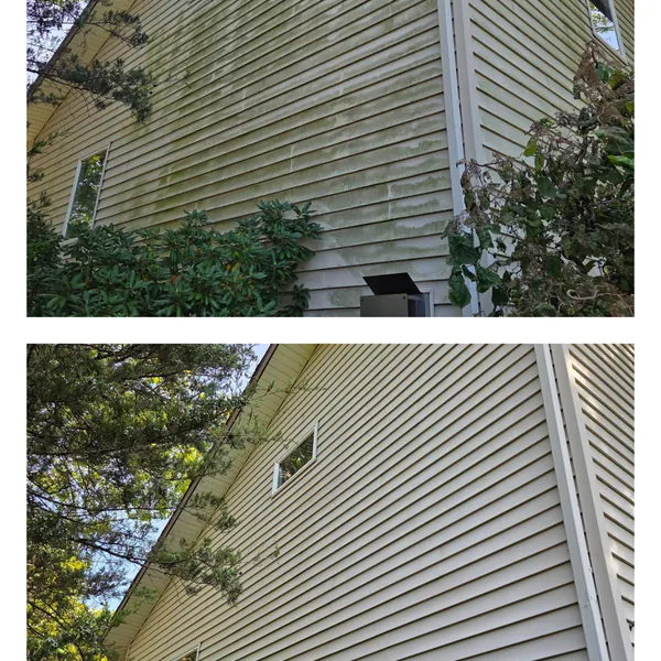 Before and after: the two-storey gable end of a house cleared of heavy green algae