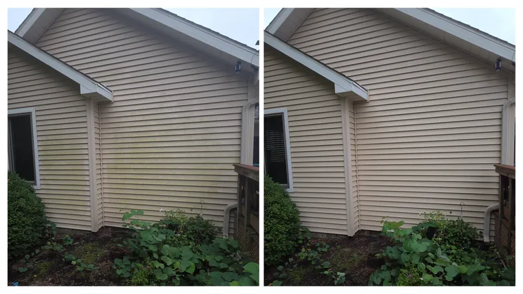 Before and after: a green algae haze washed off tan siding at the corner of a garage