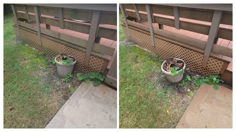 Before and after: a concrete walk beside a wooden deck, the grey grime pressure washed away