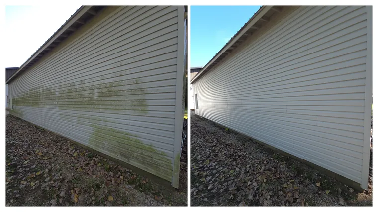 Before and after: a band of green algae streaking along vinyl siding, cleaned off from end to end
