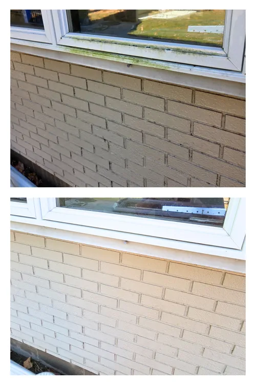 Before and after: green algae cleaned off painted brick beneath a window