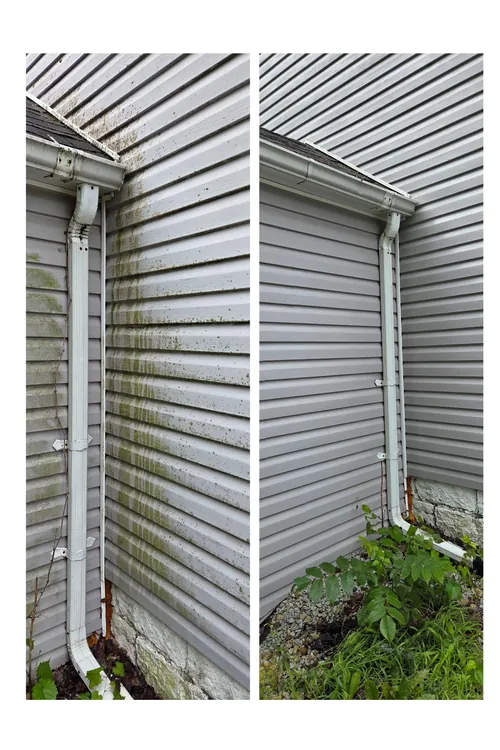 Before and after: the corner of a church's siding and downspout, washed clean of algae