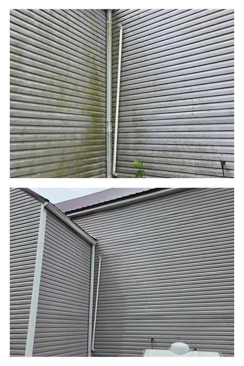 Before and after: heavy green algae soft washed off a tall church wall