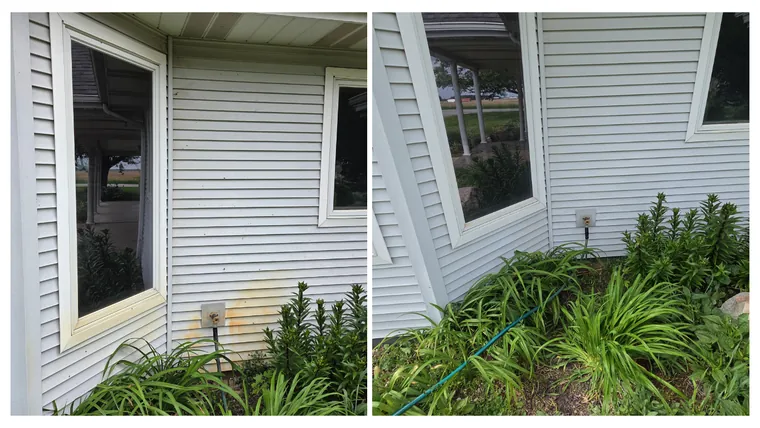 Before and after: house siding and windows above a flower bed, washed clean of green growth