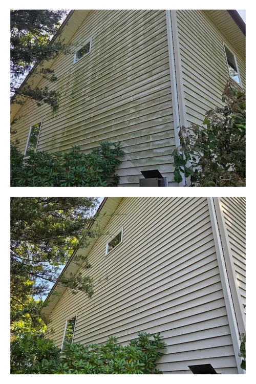 Before and after: the gable end and side wall of a house, cleared of algae growth