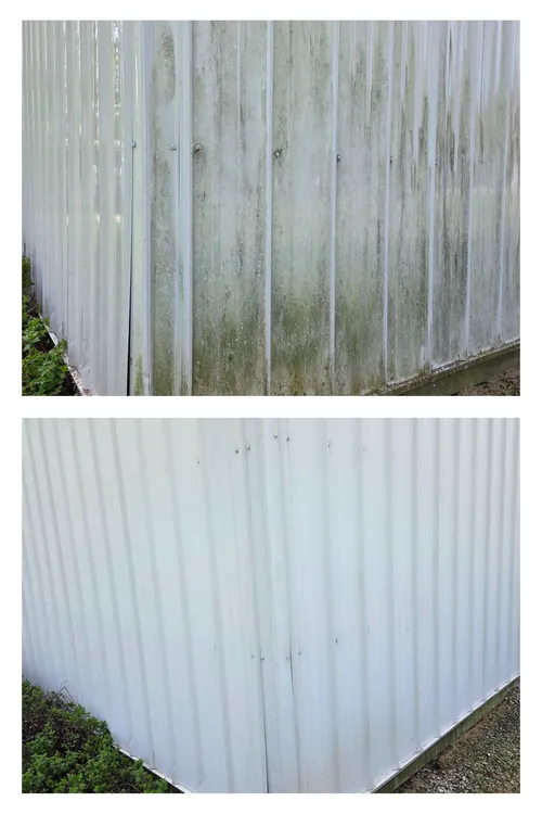 Before and after: close-up of algae-stained pole barn panels restored to clean white