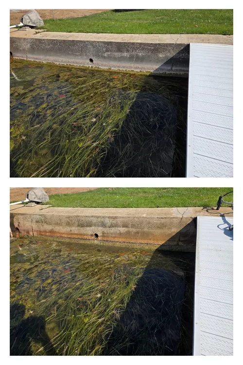 Before and after: a concrete seawall along a channel, its algae line scrubbed off