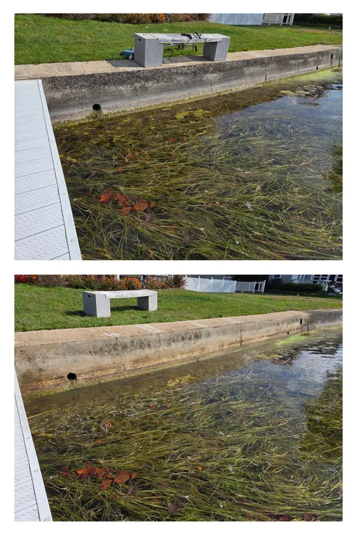 Before and after: a seawall and concrete bench at the water's edge, pressure washed clean