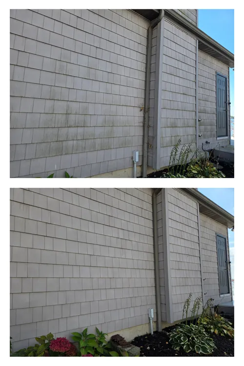 Before and after: a cedar-shake sided wall and downspout, cleared of green growth