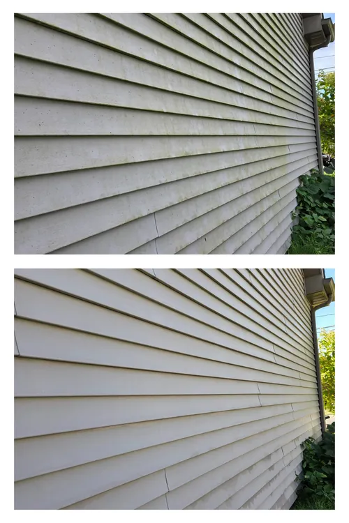 Before and after: close-up of lap siding, the green algae film soft washed away
