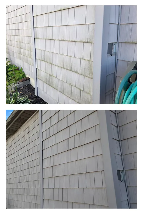 Before and after: a cedar-shake wall streaked with heavy green algae, soft washed clean
