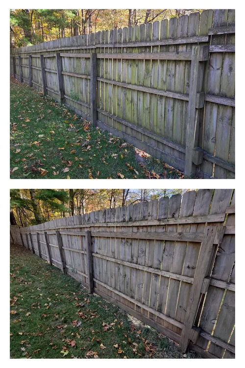 Before and after: a long wooden privacy fence, green algae washed off the boards