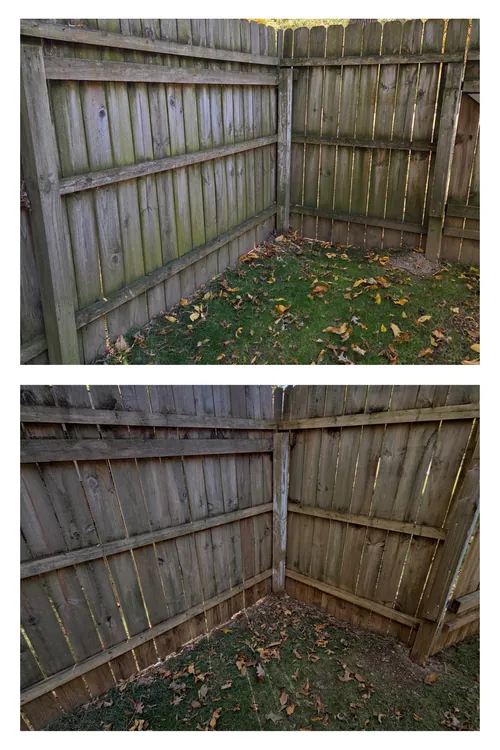Before and after: the corner of a wooden privacy fence restored from grey-green to warm timber