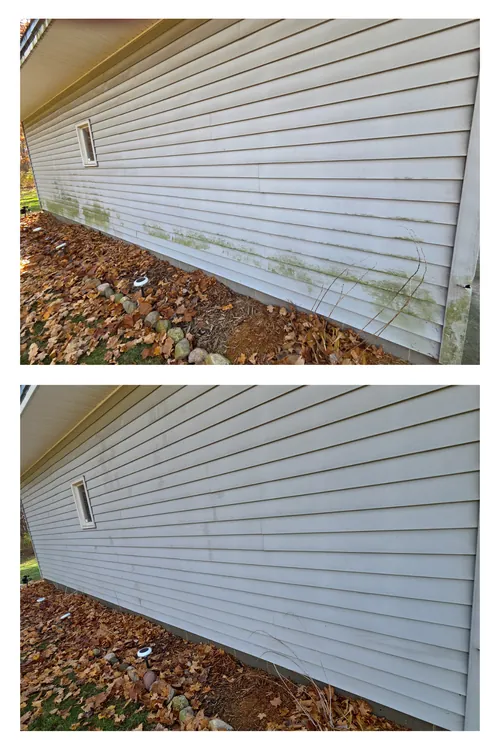 Before and after: heavy green algae cleaned off house siding at ground level beside landscaping