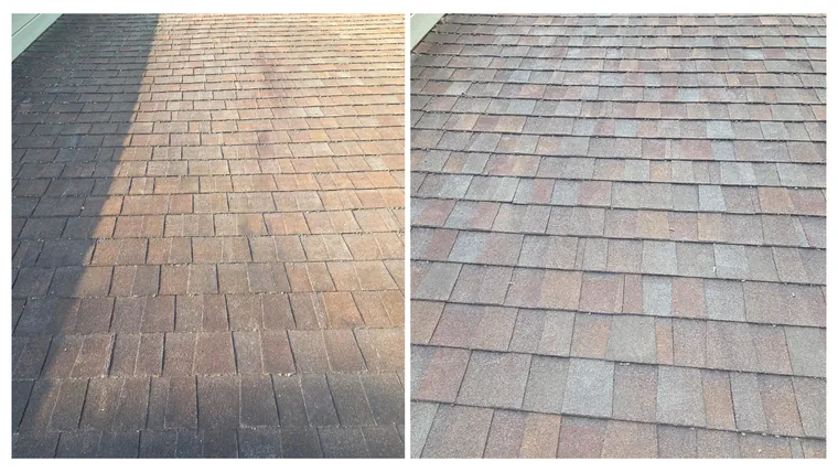 Before and after: black algae streaks soft washed off a brown asphalt shingle roof