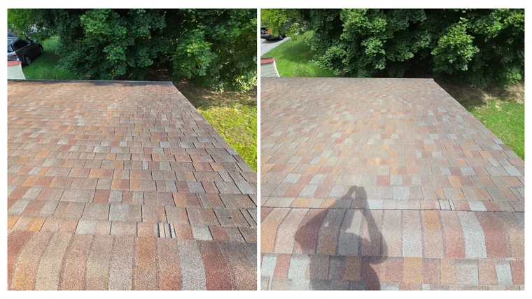 Before and after: the full slope of a shingle roof, cleared of dark algae staining