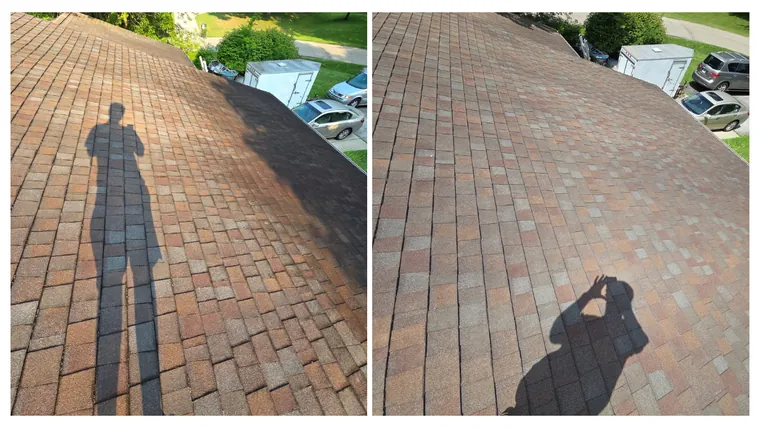 Before and after: a wide roof slope soft washed back to its original brown and red shingle tones