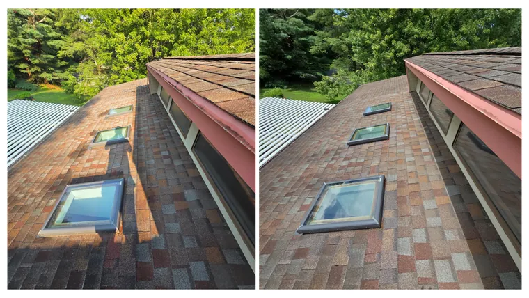 Before and after: roof shingles around a skylight, soft washed clean of dark growth