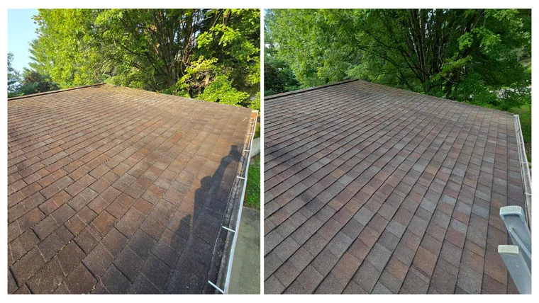 Before and after: a shingle roof above the gutter line, restored from dull grey-green to clean brown